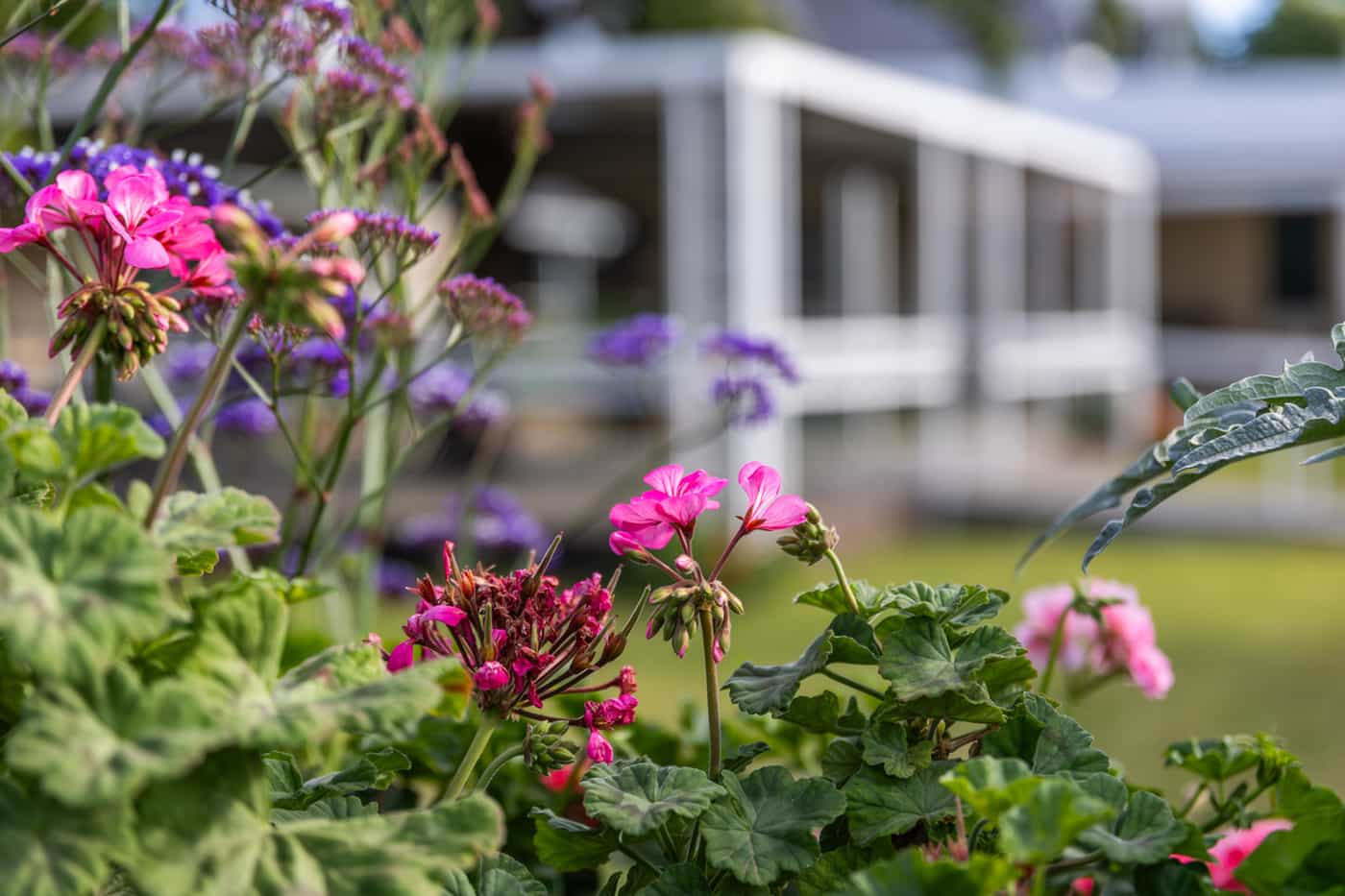 Parsonage Street Home for the Aged gallery item - Image 9