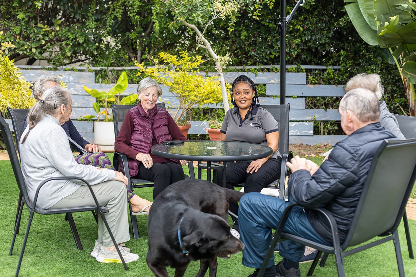 Social Connection in Healthy Ageing